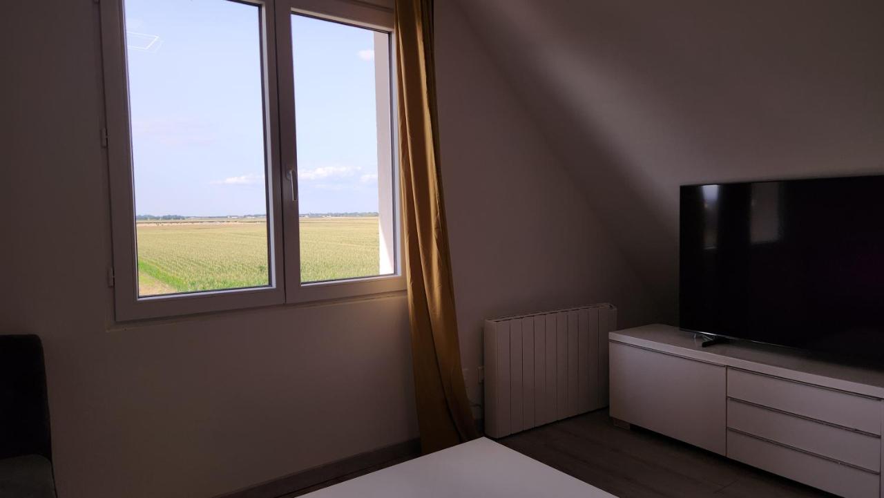 Appartement Vue Panoramique Sur La Plaine D'Alsace Andolsheim Kültér fotó