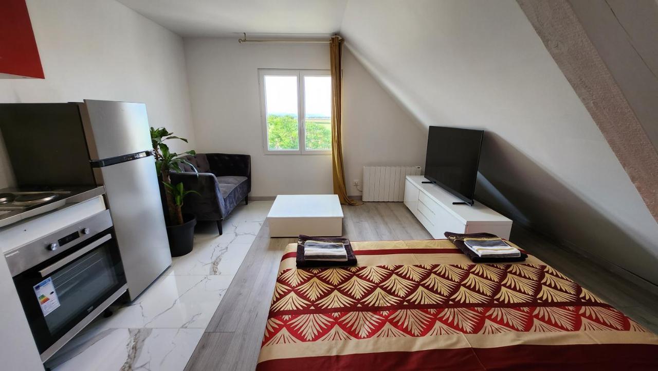 Appartement Vue Panoramique Sur La Plaine D'Alsace Andolsheim Kültér fotó